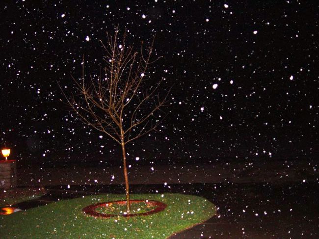 This pic. was taken when the snow began to fall. This pic. was taken in the frontyard late at night.